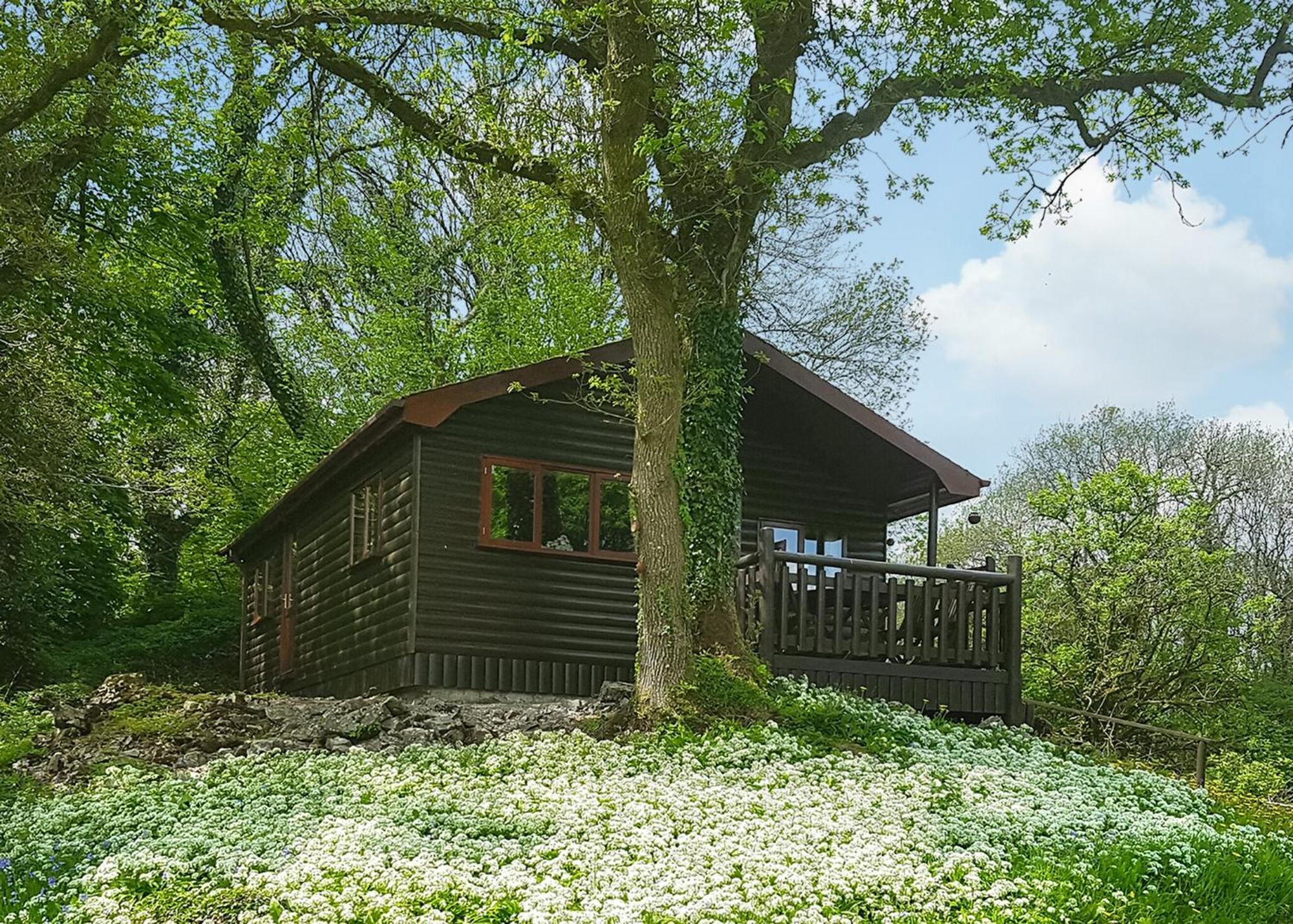 Garnffrwd Park Hotel Llanddarog Quarto foto